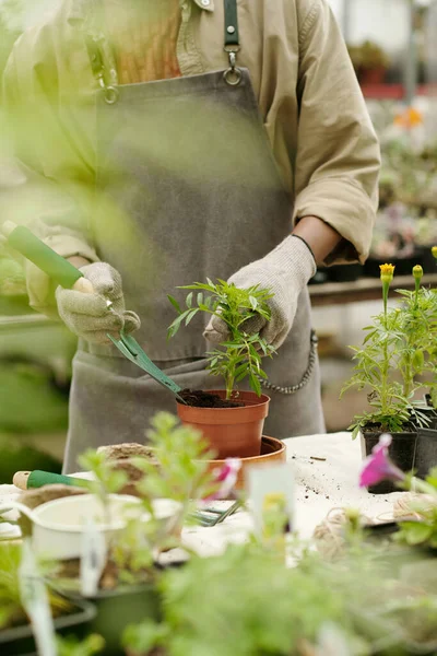 앞치마를 화분을 정원사의 테이블 — 스톡 사진