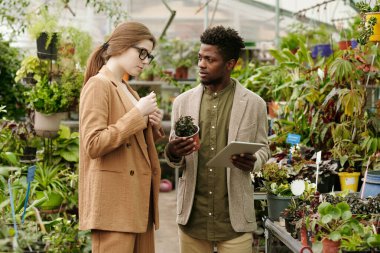 Tablet bilgisayar kullanan peyzaj mimarı ve çiçekçide müşteri için bitkiler seçiyor