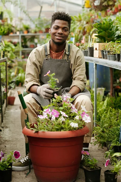 非洲年轻园丁坐在花店里 用粉红色的小花在大锅里开花时对着相机微笑的画像 — 图库照片
