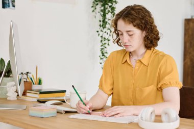 Cetvel ve kurşun kalemle çizim yapan genç yaratıcı kadın serbest yazar bilgisayar monitörünün önünde otururken