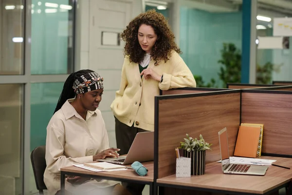 Young Confident Businesswoman Consulting Her African American Colleague Laptop Preparing — Stock Photo, Image
