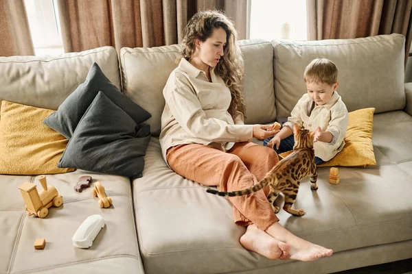 Young Pregnant Woman Her Little Son Toys Sitting Wide Sofa — Stock Photo, Image
