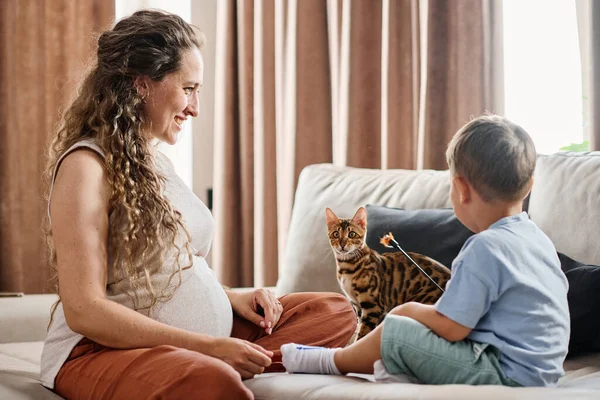 快乐的年轻孕妇看着她可爱的小儿子在客厅里的沙发上玩耍时 正在玩宾格品种的宠物猫 — 图库照片