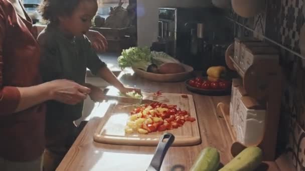 부엌에서 야채를 자르는 귀여운 아들을 가르치고 캅카스 여성의 — 비디오