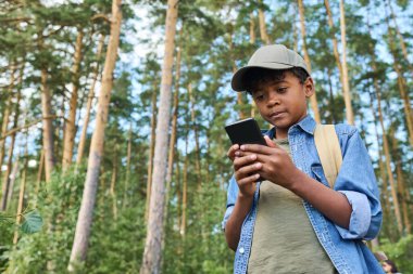 Sırt çantalı küçük çocuk akıllı telefondan navigatör haritasına bakarken çam ağacı ormanında duruyor ve doğru yönü arıyor.