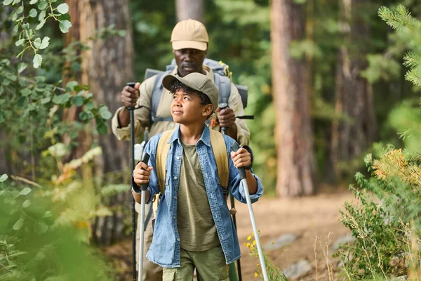 年轻的非洲裔美国男孩穿着便服 一边走在他祖父面前的松树林中小径上一边看一边看 — 图库照片