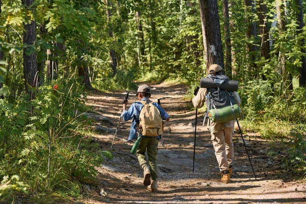 徒步旅行时 小男孩和他的祖父背着背包和手杖在树间小径上走来走去 — 图库照片