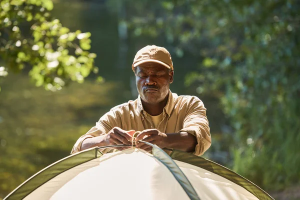 Poważny Starszy African American Backpacker Wpisując Węzeł Szczycie Namiotu Podczas — Zdjęcie stockowe