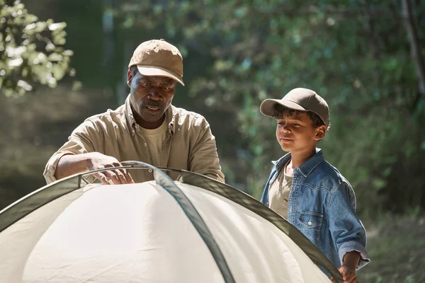 可爱的非洲裔美国男孩帮助他的祖父在森林里搭帐篷 同时在阳光灿烂的夏天享受他们的远足之旅 — 图库照片