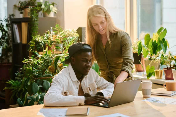 年轻的金发女人一边指着笔记本电脑屏幕 一边向非洲裔美国男性同事解释演示要点 — 图库照片
