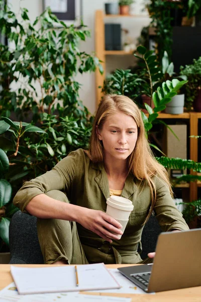 Young Serious Woman Cup Coffee Sitting Workplace Front Laptop Analyzing — Stock Photo, Image