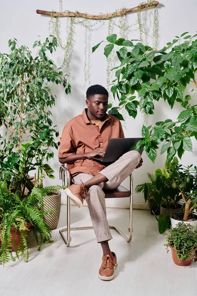 Jovem Empresário Afro Americano Sério Casualwear Usando Laptop Enquanto Rede — Fotografia de Stock