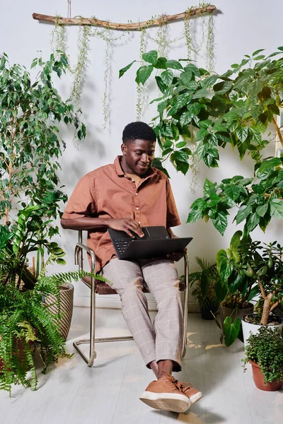 年轻的非洲裔美国商人 膝盖跪在椅子上 坐在现代办公室和网络中的绿色植物中间 — 图库照片
