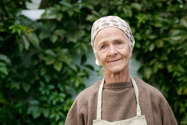 Medium Shot Smiling Senior Woman Apron Pullover Headcloth Looking Camera — Stock Photo, Image