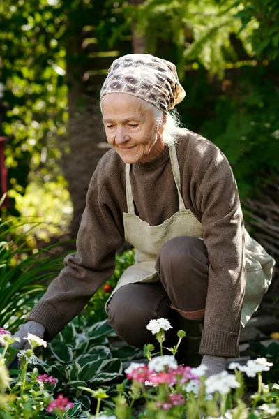 Starsza Kobieta Ubraniu Casualwear Fartuchu Siedzi Przysiady Przed Kwietnikiem Dbanie — Zdjęcie stockowe