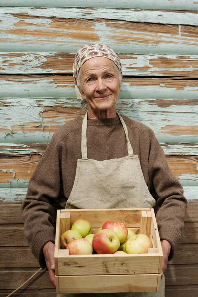 Smiling Senior Female Gardener Holding Wooden Box Picked Fresh Ripe — Stock Photo, Image