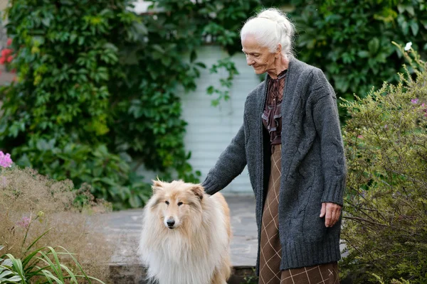 Kind Grandmother Cuddling Collie Dog While Taking Walk Pet Garden — Stock Photo, Image