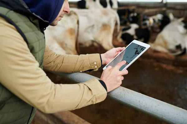 Primer Plano Del Joven Trabajador Granja Vacas Con Tableta Desplazándose — Foto de Stock