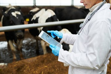 İnternetteki tıbbi verileri incelerken tablet kullanan genç bir kadın veteriner görüntüsü.