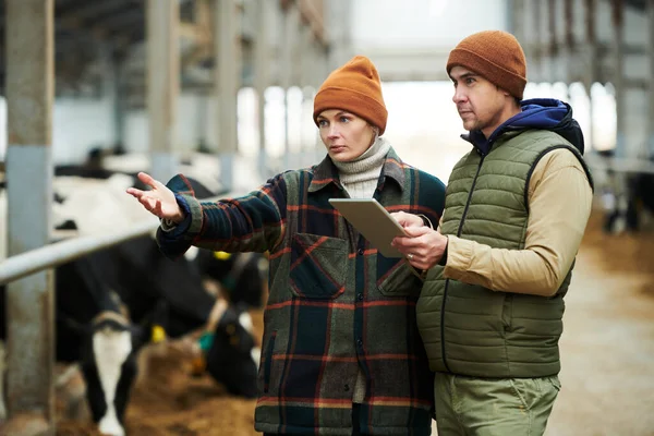 Joven Trabajadora Segura Granja Vacas Ropa Trabajo Apuntando Ganado Establo — Foto de Stock