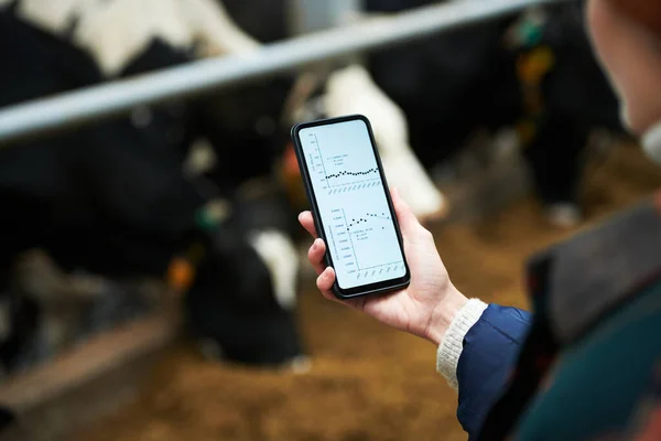 Mano Joven Propietaria Una Granja Vacas Moderna Sosteniendo Teléfono Móvil — Foto de Stock