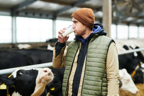 Fiatal Férfi Farmer Mellényben Sapkában Friss Tejet Iszik Kamera Előtt — Stock Fotó
