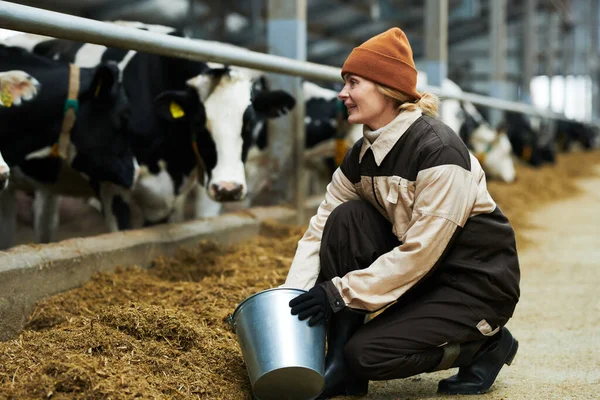 Glückliche Junge Arbeiterin Auf Einer Kuhfarm Mit Eimer Die Rinder — Stockfoto