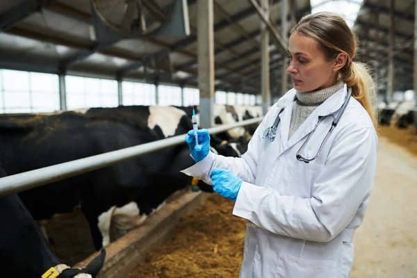 Junger Tierarzt Laborkittel Bereitet Spritze Mit Neuem Impfstoff Vor Der — Stockfoto