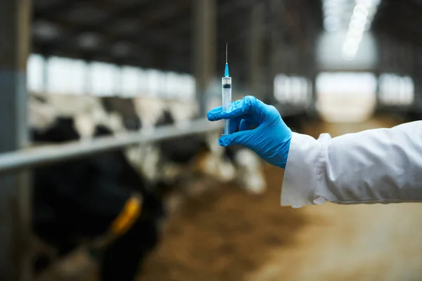 Hand Veterinarian Gloves Labcoat Holding Syringe Vaccine New Dangerous Virus — Stock Photo, Image