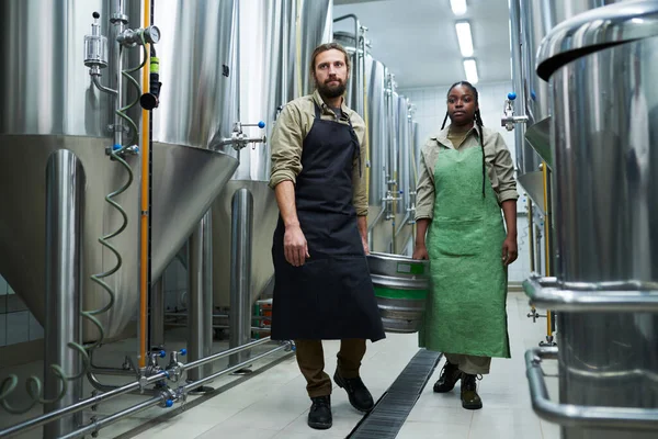 Bira Fabrikası Işçileri Depoya Taze Birayla Fıçı Taşıyorlar — Stok fotoğraf