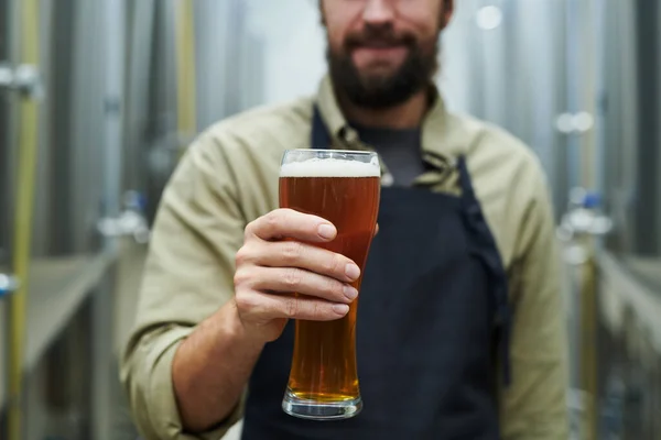 ビールの大きなガラスを保持するマイクロブルワリーの所有者の作物のイメージ — ストック写真