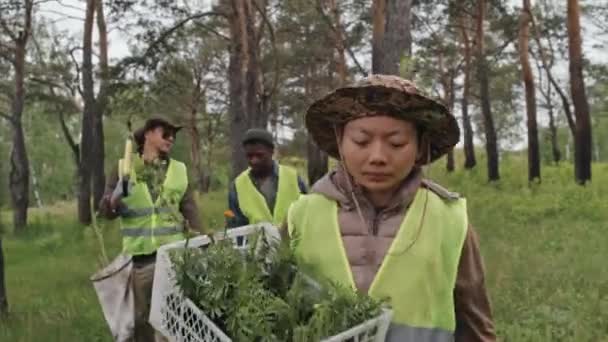 曇りの朝に森の中で苗やツールを運ぶ作業服の3つの多民族の庭師の追跡 — ストック動画
