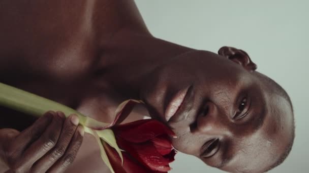性感的年轻黑人男子赤身裸体站在镜头前 手持红色花蕾的垂直画室肖像 — 图库视频影像