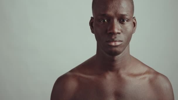 Mediana Clsoe Studio Shot Young Adult African American Man Standing — Vídeos de Stock