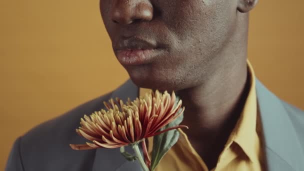 Närbild Studio Porträtt Ung Vuxen Afroamerikansk Man Som Håller Vacker — Stockvideo