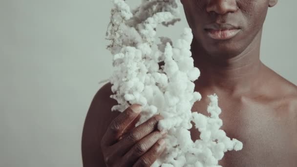 中等特写镜头拍摄的无上衣年轻黑人男子持有不同寻常的蓬松植物 白墙背景 — 图库视频影像
