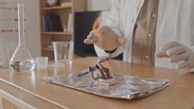 Öğretilen profesörün siyah ateş yılanı kimyasal deneyini gündüz vakti masada yapması.