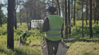 Güneşli bir günde orman eken bahçıvanlara bir kutu fidan götüren bir adamın izini sürüyorum.