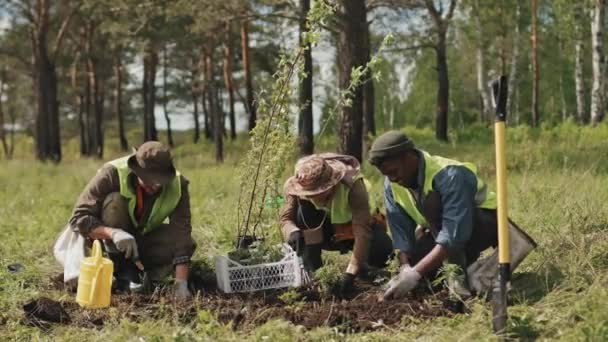 晴れた日に森の端で雑草を刈る3人の多様な農民の長いショット — ストック動画