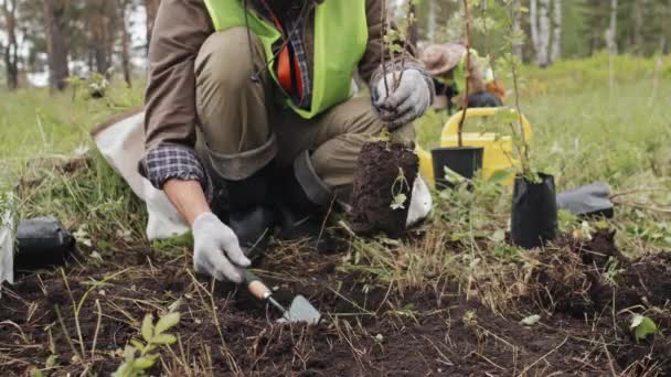 Bajo Ángulo Jardineros Cultivados Chalecos Reflectantes Verdes Excavación Plantación Árboles — Vídeo de stock