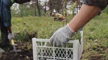 Sabahları ormanda kazı yapan meslektaşlarına fideleri getiren bahçıvanın yavaş çekimini izliyorum.