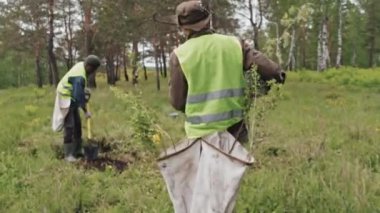 Yansıtıcı yelek giymiş erkek bahçıvanın izinin sürülmesi ağaçların fidanlarını sabah ormanda kazı yapan Afrikalı Amerikalı meslektaşlarına getiriyor.