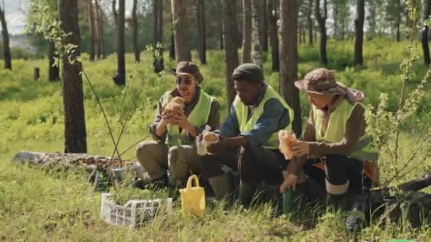 Długie Ujęcie Trzech Różnych Ogrodników Zielonych Kamizelkach Jedzących Kanapki Siedzących — Wideo stockowe