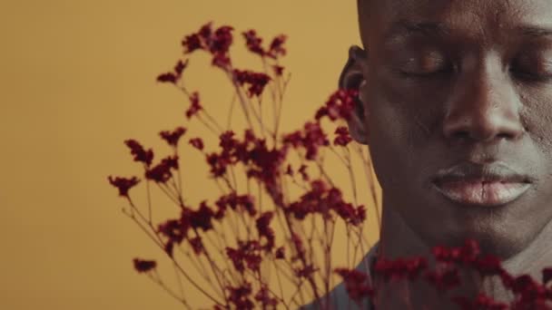 摄影棚内年轻黑人男子的特写镜头 他在镜头前摆姿势 红花环绕着他的脸 — 图库视频影像