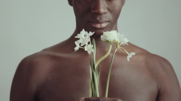 将年轻英俊的非洲裔美国男子的画像挂在画室里 他赤身裸体地站在浅灰墙的背景下 手持一束白花 — 图库视频影像