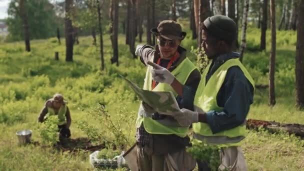 Medium Dwóch Młodych Ogrodników Patrzących Mapę Stojących Lesie Słoneczny Wiosenny — Wideo stockowe