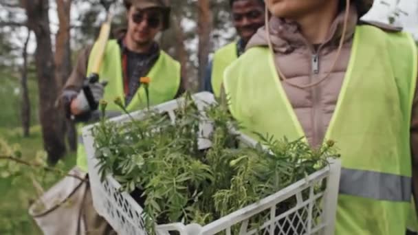 曇りの朝に森の中で苗やツールを運ぶ作業服の労働者のミッドセクションスローモーション — ストック動画