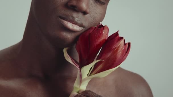 Όμορφος Νεαρός Μαύρος Άνδρας Στέκεται Γυμνός Πάνω Ανοιχτό Γκρι Φόντο — Αρχείο Βίντεο