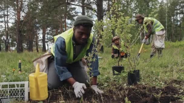 Portrait Angle Bas Jardinier Afro Américain Gilet Réfléchissant Vert Regardant — Video
