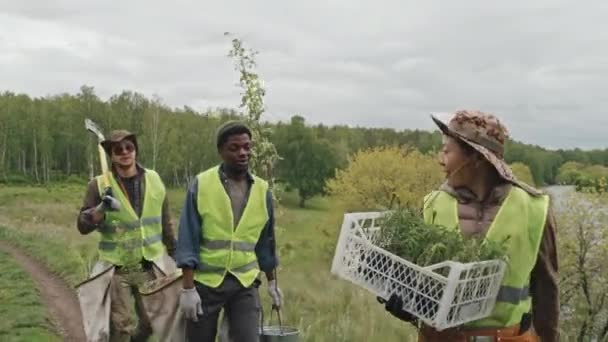 Suivi Trois Jardiniers Multiethniques Vêtements Travail Portant Des Semis Des — Video